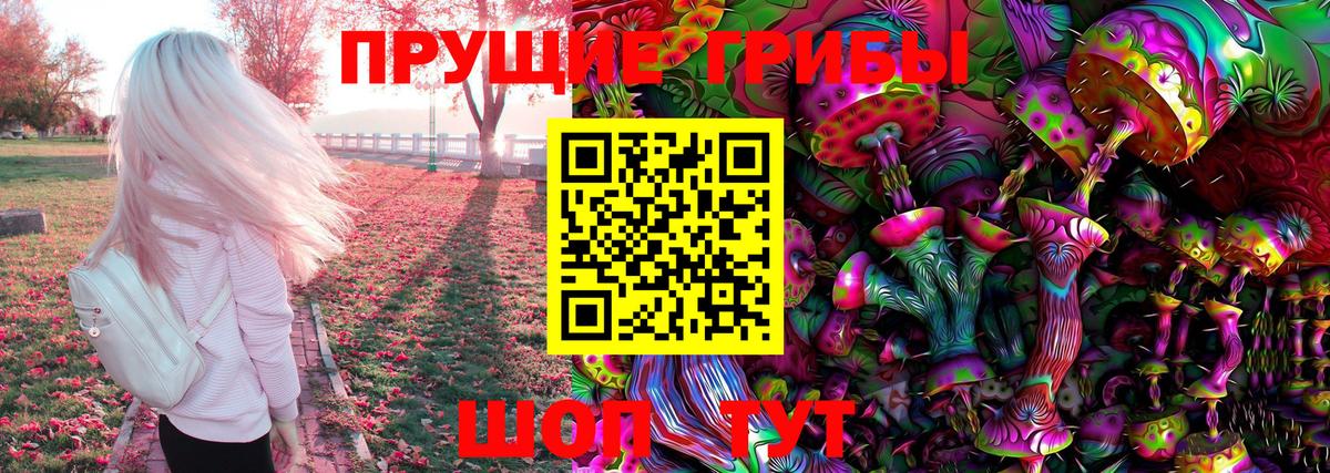 Новошахтинск  Галлюциногенные грибы ЛСД  Вход с VPN 